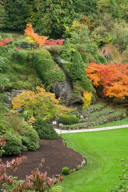 Photo high angle view of plants and trees in garden during autumn