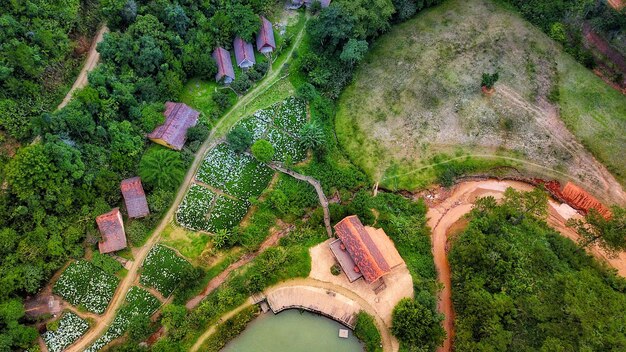 High angle view of plants and trees