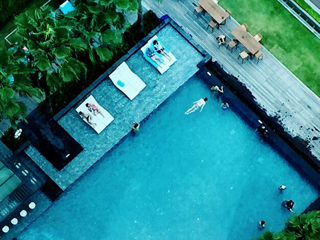 High angle view of plants