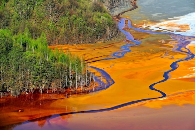 Photo high angle view of polluted water by trees at forest