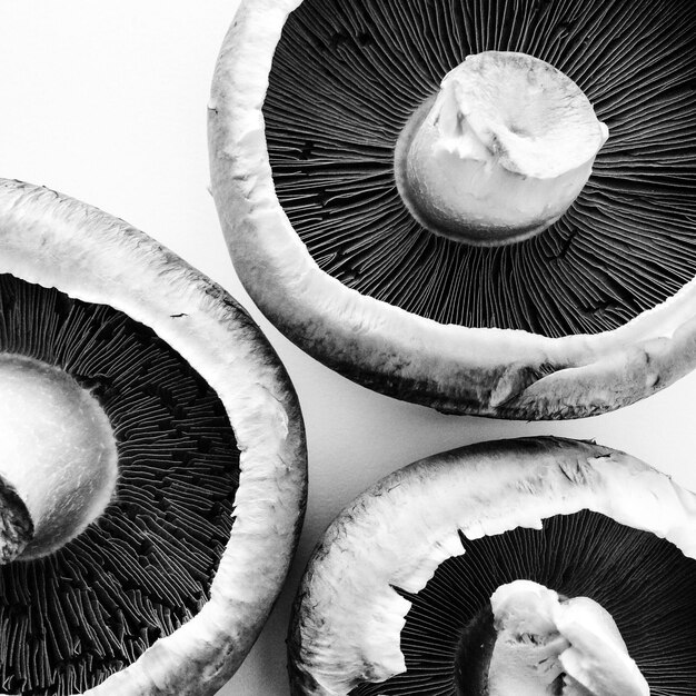 Photo high angle view of portobello mushrooms on table