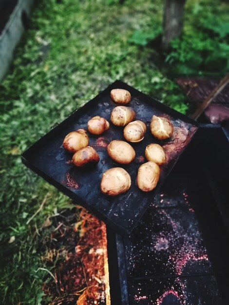 High angle view of potatoes in tray at yard