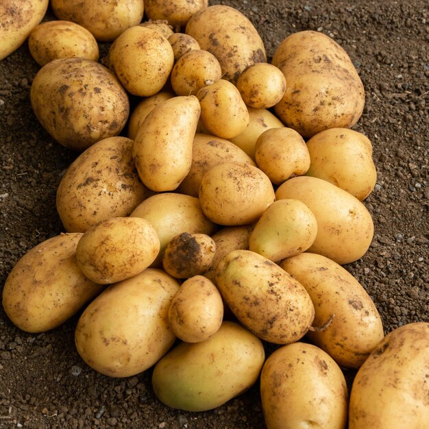 High angle view of potatoes