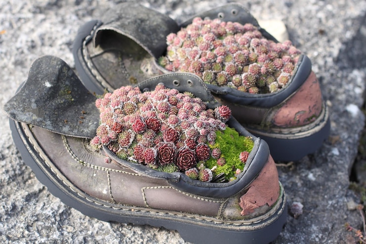 Photo high angle view of potted cactus plant