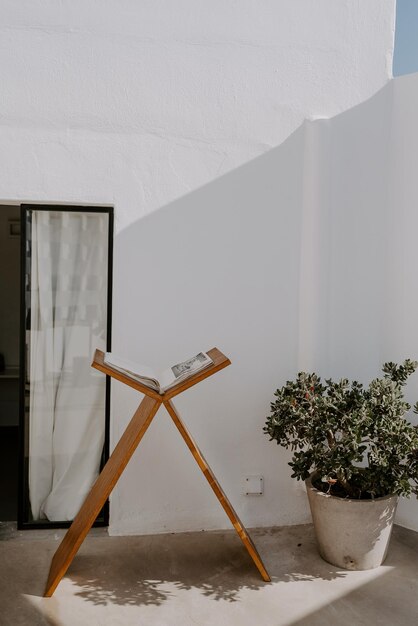 High angle view of potted plant against wall