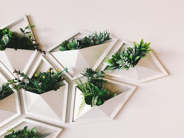 Photo high angle view of potted plant against white background