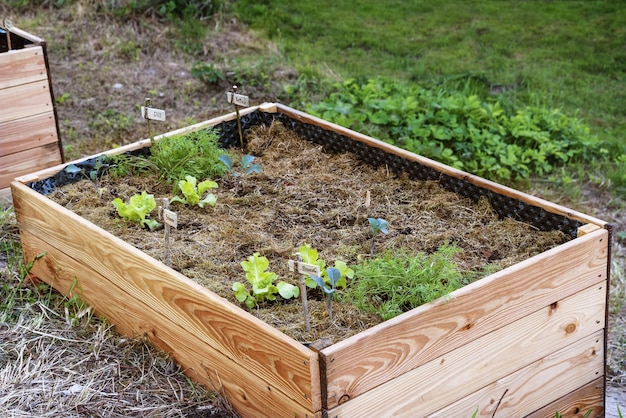 High angle view of potted plant in field