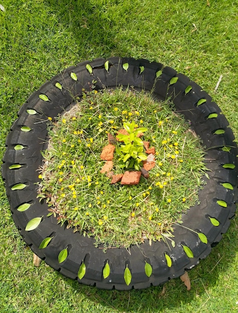 Foto vista ad alto angolo di una pianta in vaso sul campo