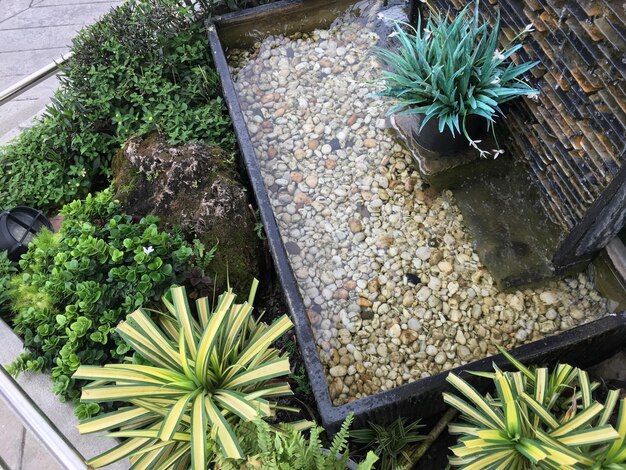 High angle view of potted plant on rock