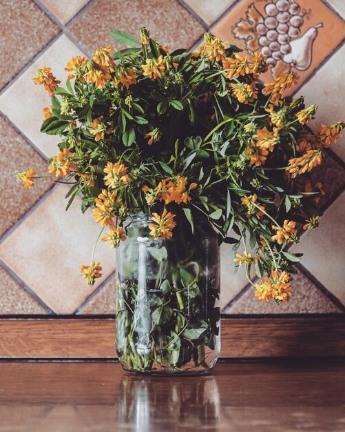 Photo high angle view of potted plant on table