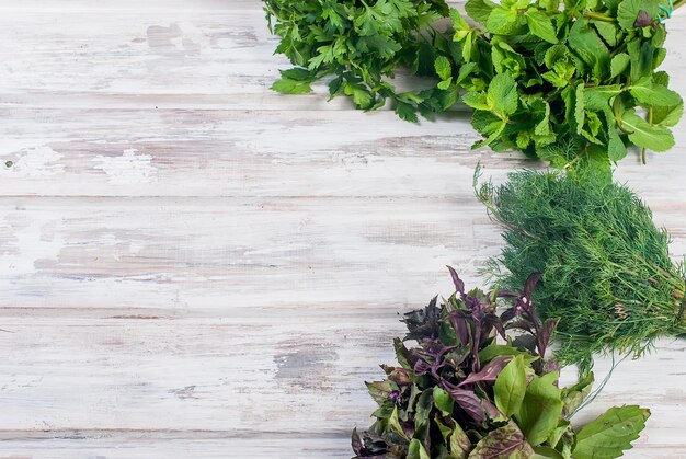 Photo high angle view of potted plant on table