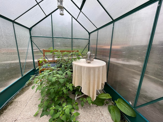 Photo high angle view of potted plants in greenhouse