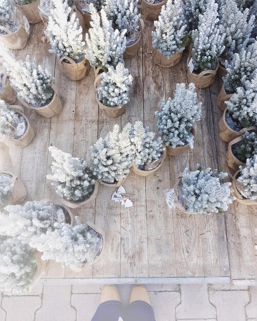 Photo high angle view of potted plants at market for sale