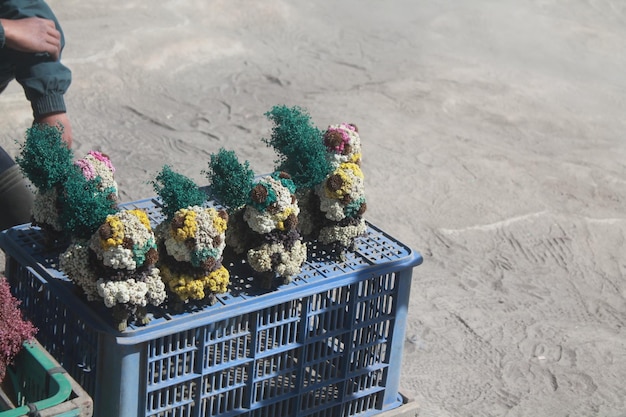 High angle view of potted plants at street market