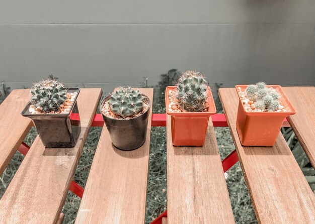 High angle view of potted plants on table against wall