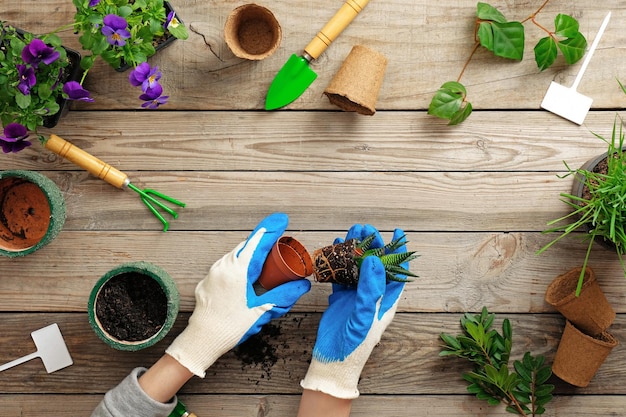 Photo high angle view of potted plants on wooden table