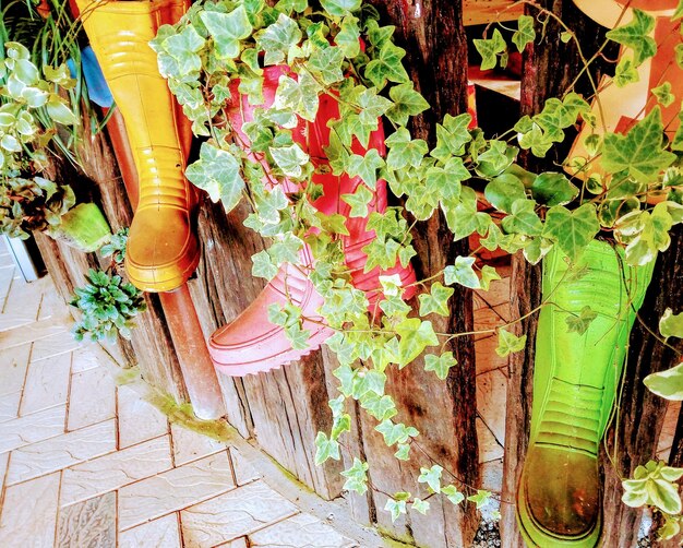 High angle view of potted plants in yard