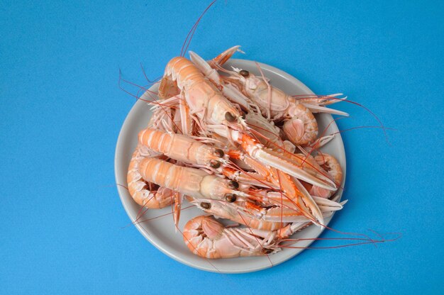 High angle view of prawns against blue background