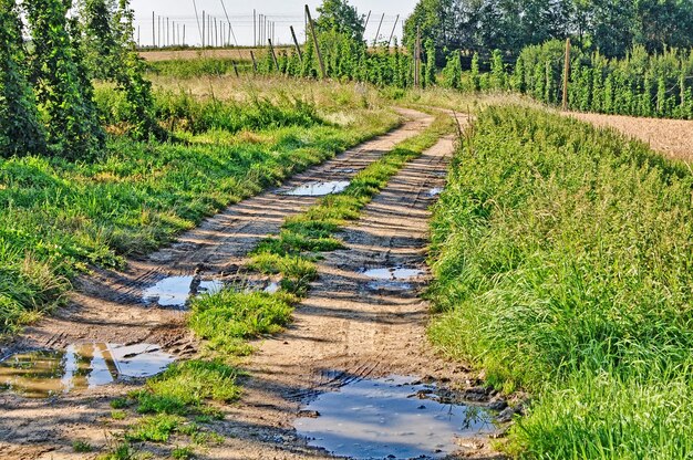 High angle view of puddles on dirt road