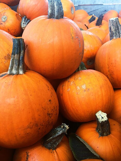 High angle view of pumpkins at market stall