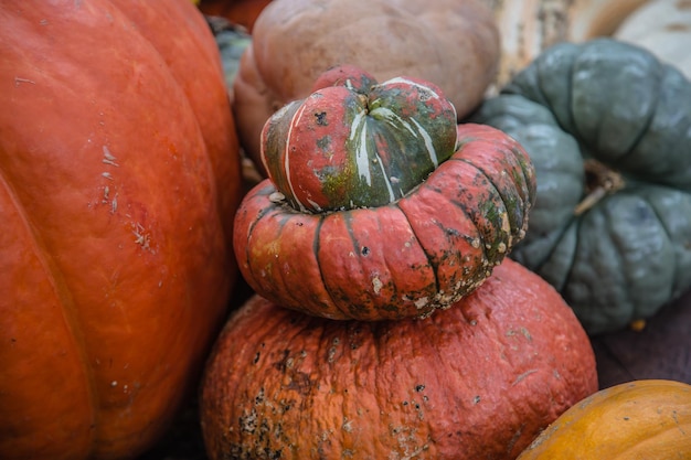 High angle view of pumpkins at market stall