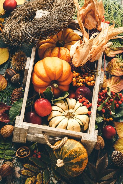 High angle view of pumpkins in market