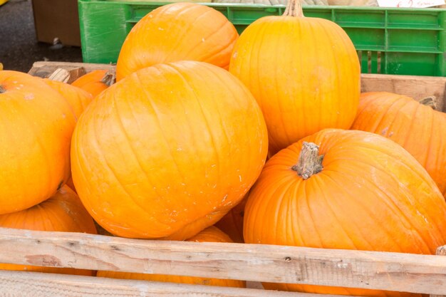 High angle view of pumpkins in market