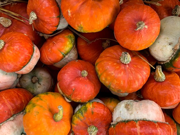 High angle view of pumpkins for sale in market