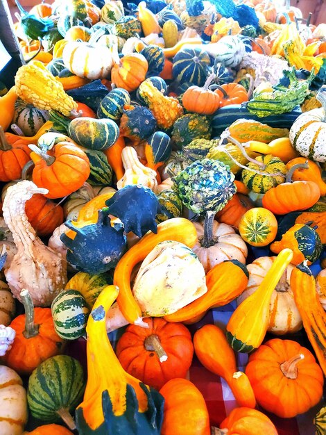 High angle view of pumpkins for sale at market