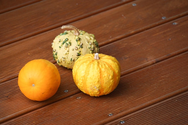 High angle view of pumpkins on table