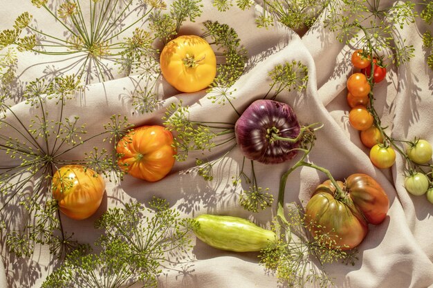 Photo high angle view of pumpkins on table