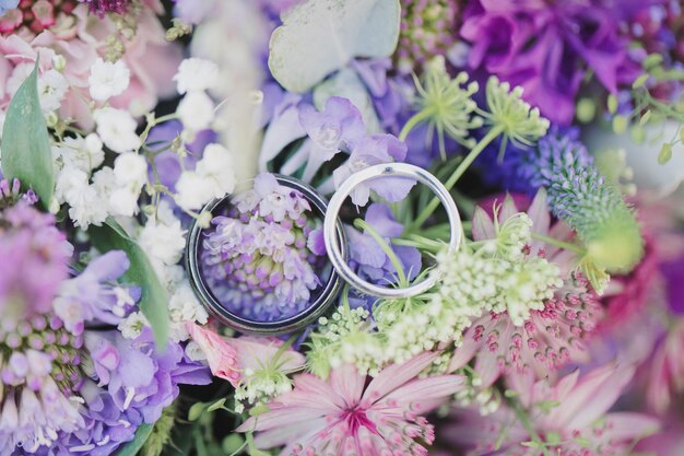 Photo high angle view of purple flowering plants