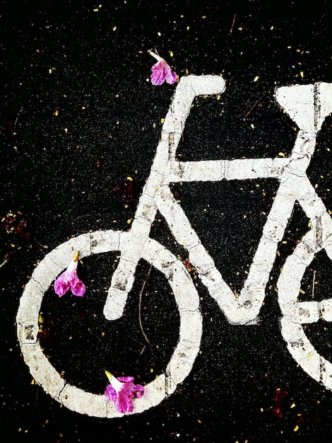 Photo high angle view of purple flowers on bicycle lane sign
