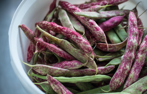 Photo high angle view of purple peas in container