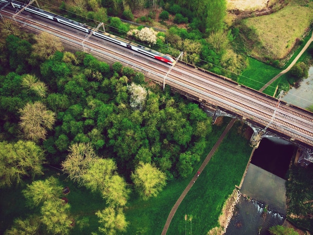 High angle view of railroad tracks amidst trees