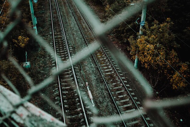 Photo high angle view of railroad tracks in forest