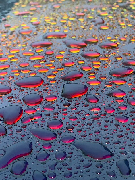 Photo high angle view of raindrops on leaves