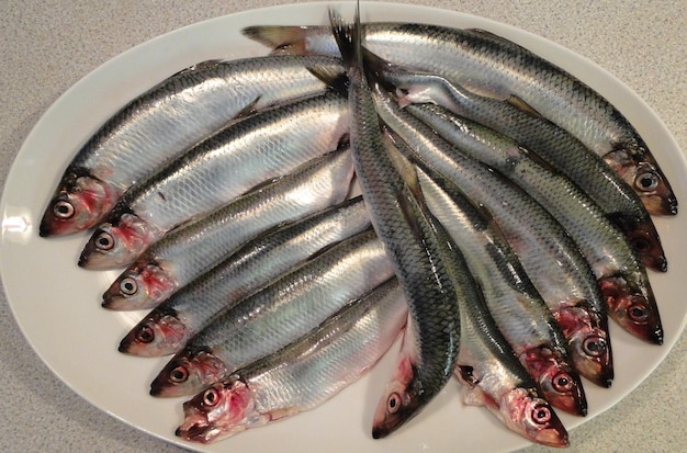 Foto vista ad alto angolo di pesce crudo in piatto su tavola