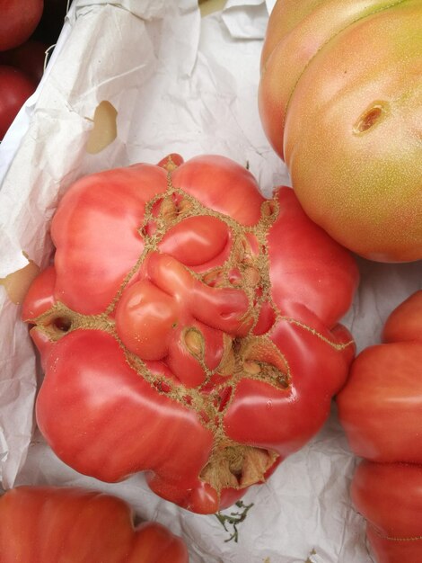 High angle view of red bell peppers