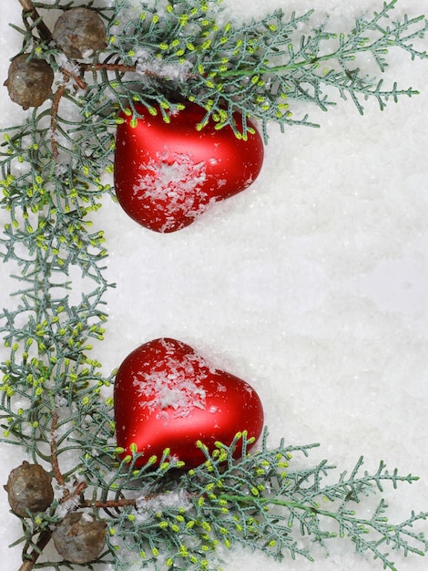 Photo high angle view of red berries on plant