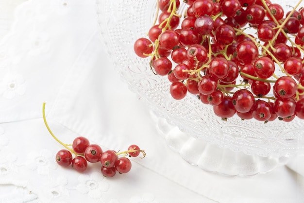 Photo high angle view of red berries