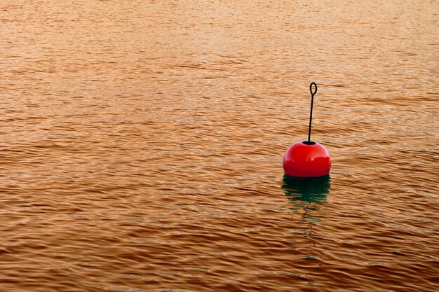 Photo high angle view of red floating on water