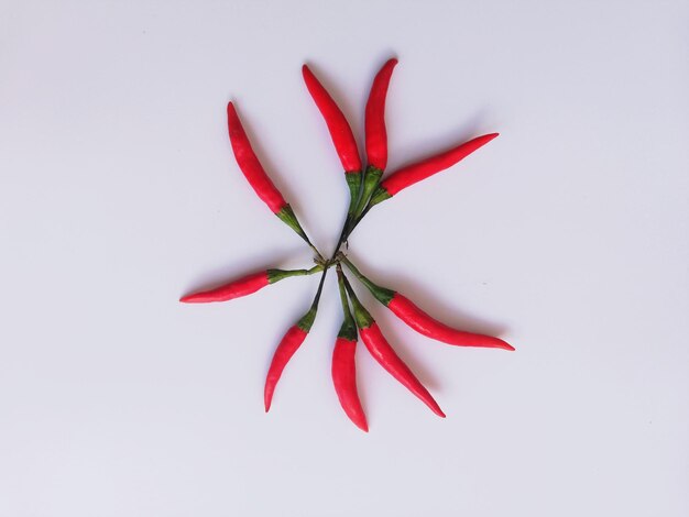 High angle view of red leaves against white background