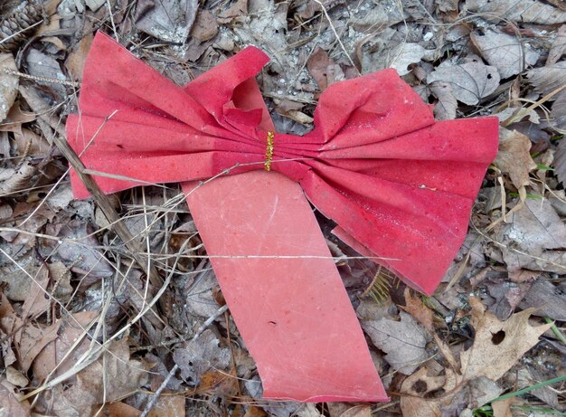 High angle view of red maple leaf