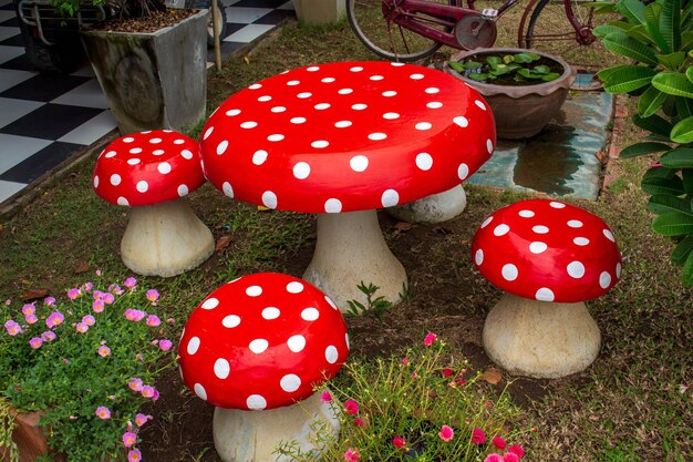 High angle view of red mushroom growing on field