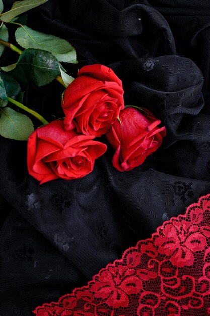 Photo high angle view of red rose on fabric