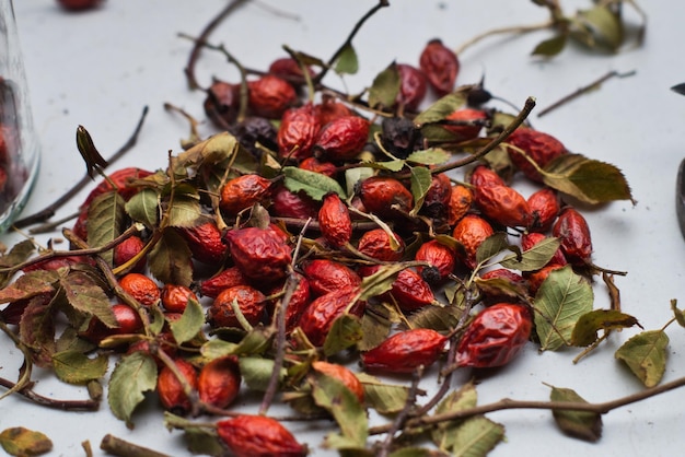 Foto vista ad alto angolo di fianchi di rose rosse in piastra