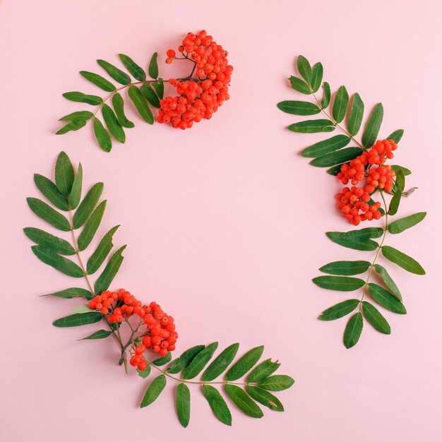 Foto vista ad alto angolo di rose rosse su sfondo bianco