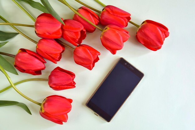 High angle view of red roses on table