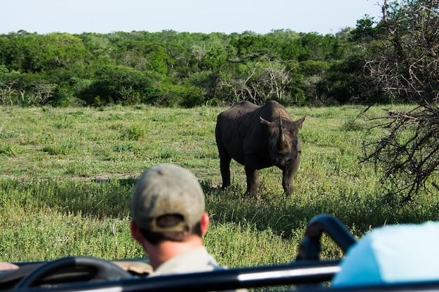 Photo high angle view of a rhinocerus